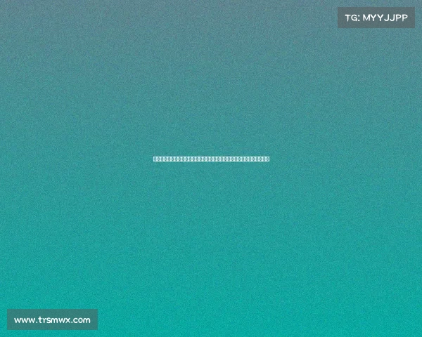 女排世界锦标赛激战正酣中国女排奋勇拼搏争创佳绩赛场风云变幻精彩无限